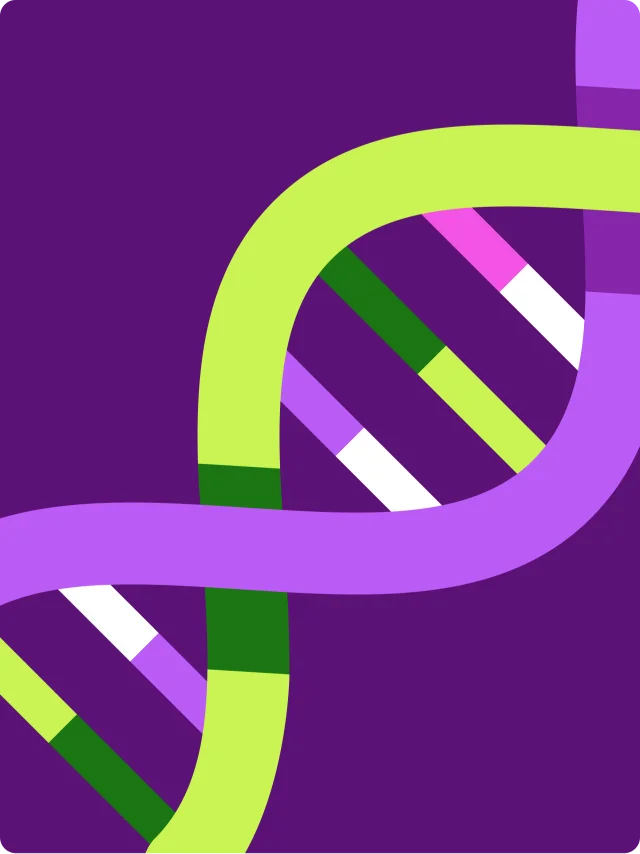 Ilustração de um DNA